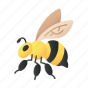 bee, insect, animal, fly