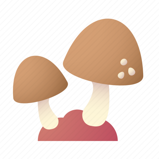 Mushroom, fungi, nature icon - Download on Iconfinder