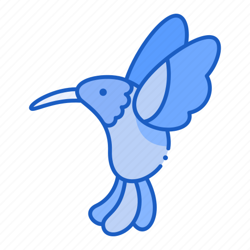 Hummingbird, bird, animal, nature icon - Download on Iconfinder