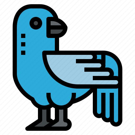 Bird, fly, animal, zoo, wild icon - Download on Iconfinder