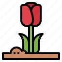 tulip, flower, botanical, blossom, garden, spring