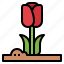 tulip, flower, botanical, blossom, garden, spring 