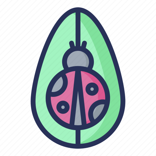 Ladybug, spring, plant, nature, season, natural icon - Download on Iconfinder