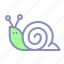 mollusc, shell, slow, sluggish, snail 