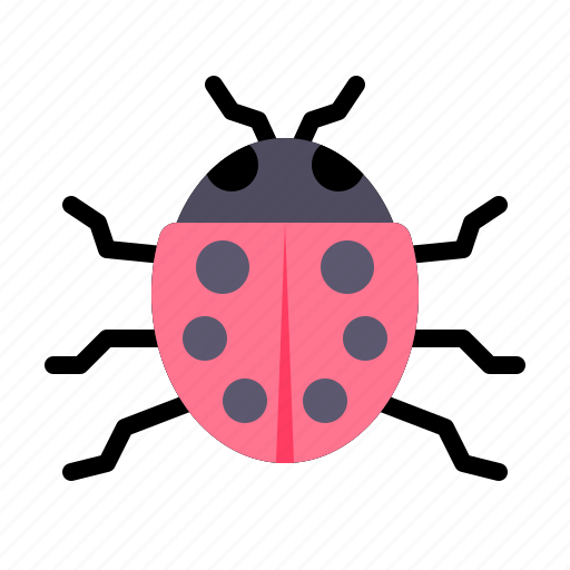 Ladybug, insect, bug, fly icon - Download on Iconfinder