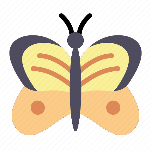 Butterfly, insect, bug, flower icon - Download on Iconfinder