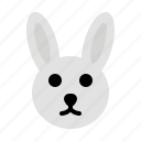 rabbit, bunny, animal, easter
