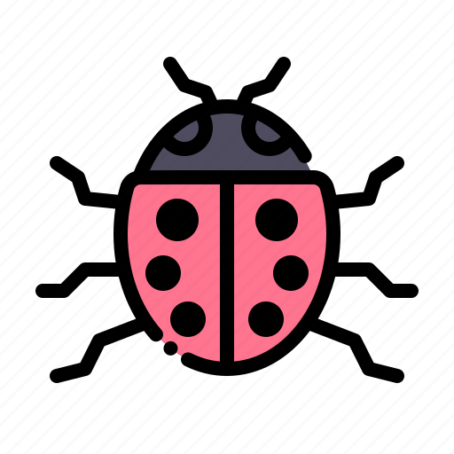Ladybug, bug, insect, fly icon - Download on Iconfinder