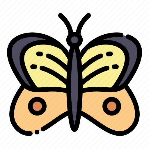 Butterfly, bug, insect, flower icon - Download on Iconfinder