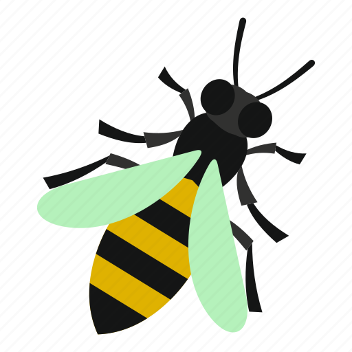 Bee, fly, honey, insect, nature, summer, wing icon - Download on Iconfinder