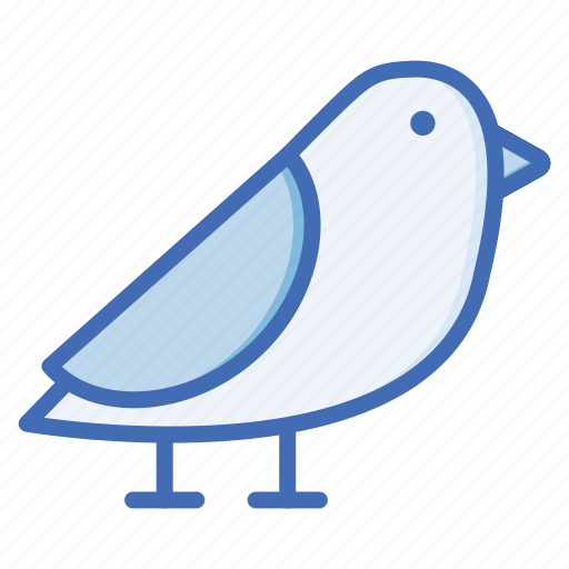 Bird, animal, pet, mammal, wildlife, nature icon - Download on Iconfinder