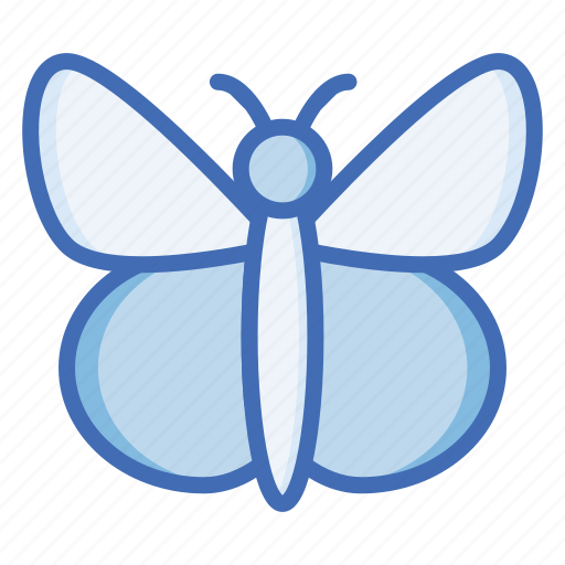 Butterfly, insect, animal, beautiful, fly, nature icon - Download on Iconfinder