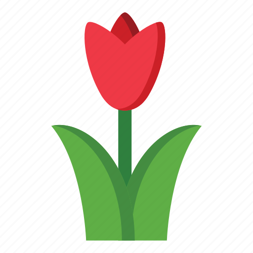 Flower, tulip, blossom, plant, leaf, green, spring icon - Download on Iconfinder