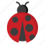 ladybug, insect, bug, animal, fly, spring, nature 