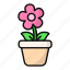 flower pot, garden, indoor plant, decoration, bloom, floral 