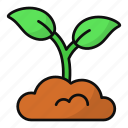 sprout, growing, agriculture, gardening, plant, greening, botanical