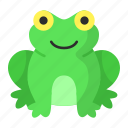 frog, toad, amphibian, animal, marsh, insectivore