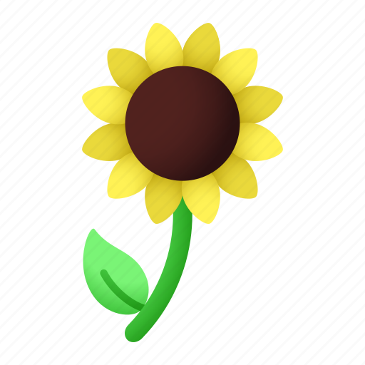 Sunflower, bloom, petals, spring, nature, garden, floral icon - Download on Iconfinder