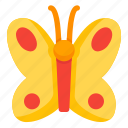 animal, butterfly, fly, insect
