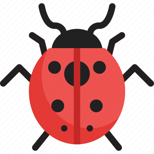 Fly, insect, ladybug, spring icon - Download on Iconfinder
