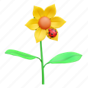 ladybug, flower, nature, spring 