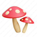 mushroom, fungi, fungus, plant 