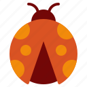 ladybug, ladybird, animal, virus, beetle, insect, nature, autumn, easter