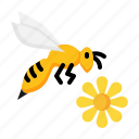 bee, insect, hive, honey