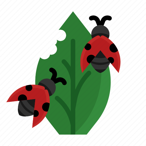 Ladybug, ladybird, spring, insect icon - Download on Iconfinder