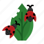 ladybug, ladybird, spring, insect 