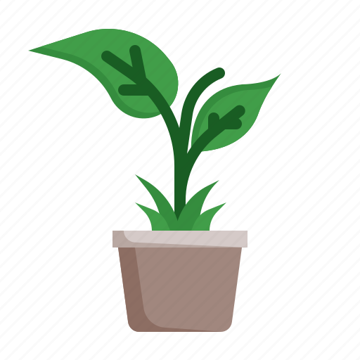 Plant, leaf, nature, garden icon - Download on Iconfinder