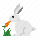rabbit, animal, garden, spring
