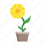 sunflower, flower, plant, blossom 