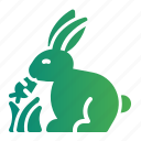 rabbit, bunny, spring, animal