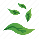 leaf, eco, plant