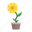 sunflower, plant, spring, blossom 