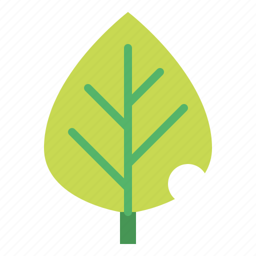 Botanical, leaf, leave, plant icon - Download on Iconfinder