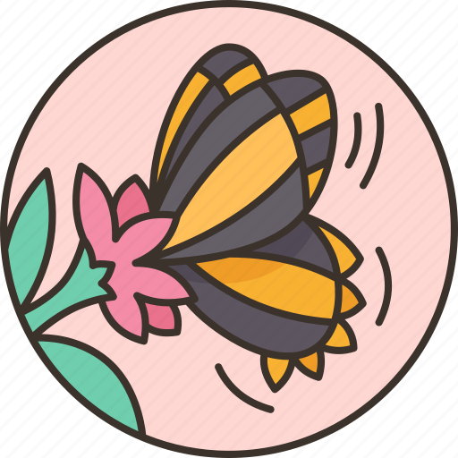 Butterflies, garden, flower, nature, fresh icon - Download on Iconfinder