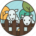 farm, sheep, animal, agriculture, tourism