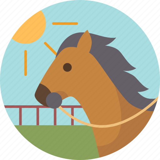 Horseback, ride, outdoor, activity, sport icon - Download on Iconfinder