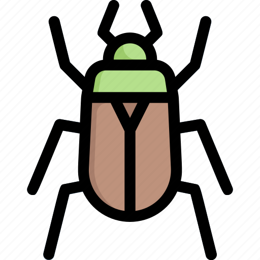 Bug, chafer, insect, nature, season, spring, weather icon - Download on Iconfinder