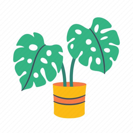 Montserrat, leaf, plant, pot, decoration, nature, botanical icon - Download on Iconfinder