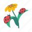 flower, ladybug, plant, farming, flowering, gardening 