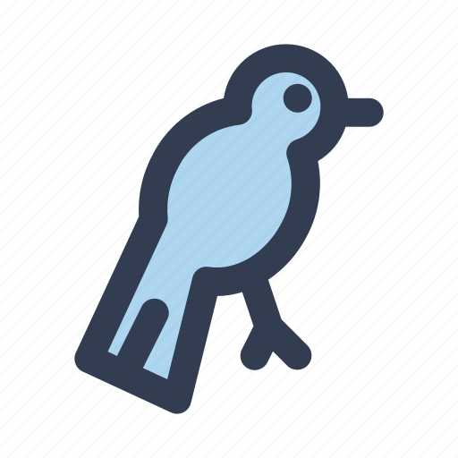 Bird, animal, zoo, wild, fly icon - Download on Iconfinder