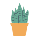 houseplant, pot, leaf, plant, snake