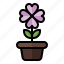 spring, season, nature, flower, pot, vase 