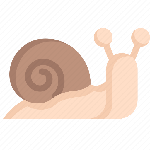 Animal, nature, season, slug, snail, spring, weather icon - Download on Iconfinder