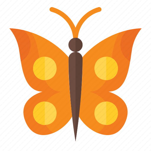 Spring, season, nature, animal, bug, butterfly icon - Download on Iconfinder