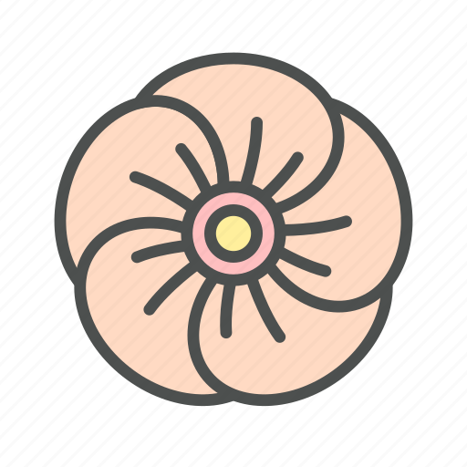 Blossom, flower, hibiscus, nature, spring icon - Download on Iconfinder