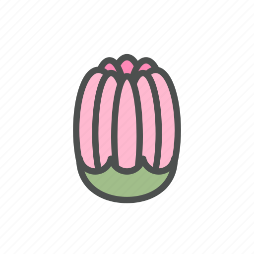 Blossom, bud, dahlia, flower, nature, spring icon - Download on Iconfinder